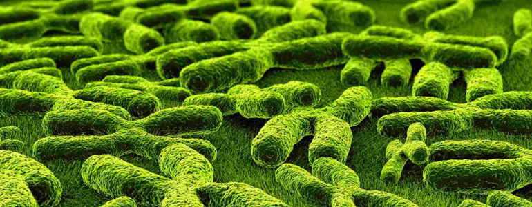 diagnostic genetic sciences