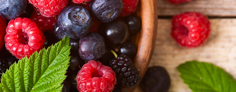 nutritional sciences
